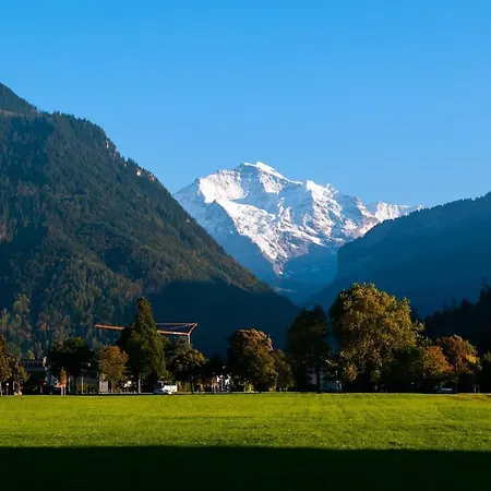 The Swiss Kiwi Chalet Garden *