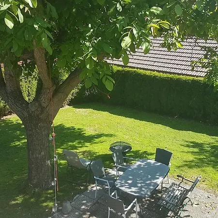 The Swiss Kiwi Chalet Garden *